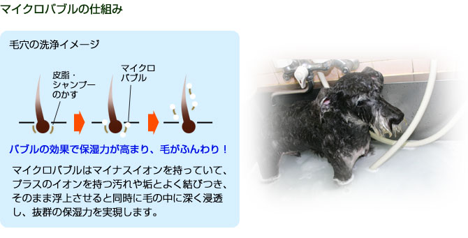 }CNoǔʂŕێ͂܂AтӂI