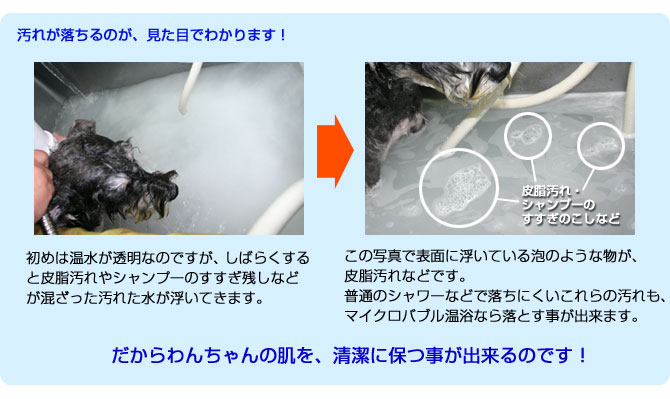 񂿂̔𐴌ɕۂƂo܂I