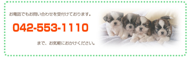 お問い合わせは042-553-1110まで
